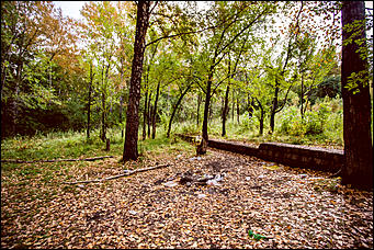 14 сентябрь 2016 г., Барнаул © Амител Вячеслав Мельников   Там на неведомых дорожках: парк "Юбилейный" в сентябре 2016 года  