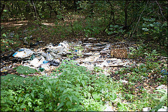 14 сентябрь 2016 г., Барнаул © Амител Вячеслав Мельников   Там на неведомых дорожках: парк "Юбилейный" в сентябре 2016 года  