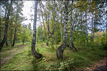 14 сентябрь 2016 г., Барнаул © Амител Вячеслав Мельников   Там на неведомых дорожках: парк "Юбилейный" в сентябре 2016 года  
