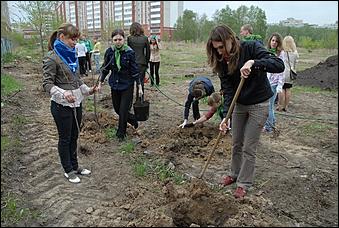    Зеленый подарок.В Барнауле стало больше деревьев