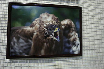 16 апреля 2019 г., Барнаул. Екатерина Смолихина "Озеро Телецкое. Мой дом, моя судьба, моя душа": фотовыставка Сергея Усика