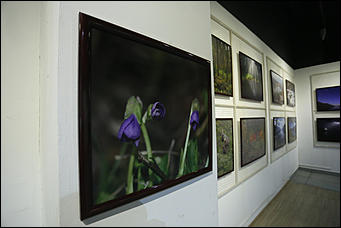 16 апреля 2019 г., Барнаул. Екатерина Смолихина "Озеро Телецкое. Мой дом, моя судьба, моя душа": фотовыставка Сергея Усика