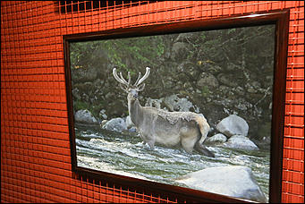 16 апреля 2019 г., Барнаул. Екатерина Смолихина "Озеро Телецкое. Мой дом, моя судьба, моя душа": фотовыставка Сергея Усика