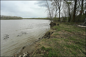 20 мая 2018 г., Барнаул. Екатерина Смолихина   Охотники за браконьерами: как егеря на Алтае охраняют уникальные заказники
