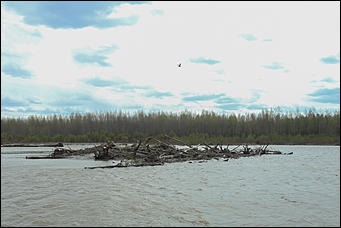 20 мая 2018 г., Барнаул. Екатерина Смолихина   Охотники за браконьерами: как егеря на Алтае охраняют уникальные заказники