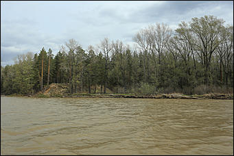 20 мая 2018 г., Барнаул. Екатерина Смолихина   Охотники за браконьерами: как егеря на Алтае охраняют уникальные заказники