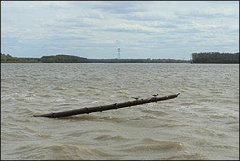 20 мая 2018 г., Барнаул. Екатерина Смолихина   Охотники за браконьерами: как егеря на Алтае охраняют уникальные заказники