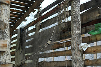 20 мая 2018 г., Барнаул. Екатерина Смолихина   Охотники за браконьерами: как егеря на Алтае охраняют уникальные заказники