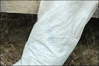 20 мая 2018 г., Барнаул. Екатерина Смолихина   Охотники за браконьерами: как егеря на Алтае охраняют уникальные заказники