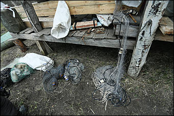 20 мая 2018 г., Барнаул. Екатерина Смолихина   Охотники за браконьерами: как егеря на Алтае охраняют уникальные заказники