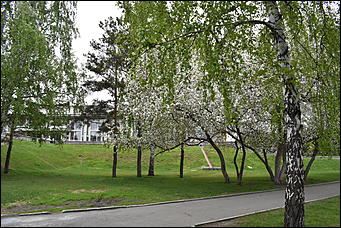 28 май 2018 г., Барнаул. Причиненко Константин   Город в ожидании лета начал радовать нас цветами