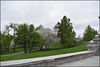 28 май 2018 г., Барнаул. Причиненко Константин   Город в ожидании лета начал радовать нас цветами