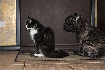 29 февраль 2016 г., Барнаул © Амител Вячеслав Мельников. Николай Бондароенко   Дождались! Первый день весны 