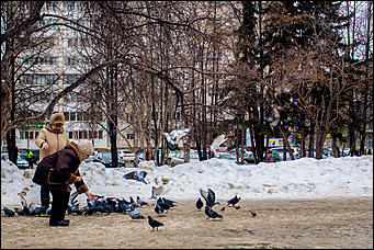 29 февраль 2016 г., Барнаул © Амител Вячеслав Мельников. Николай Бондароенко   Дождались! Первый день весны 