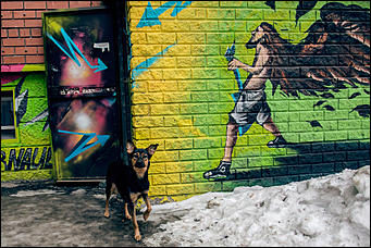 29 февраль 2016 г., Барнаул © Амител Вячеслав Мельников. Николай Бондароенко   Дождались! Первый день весны 