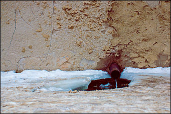 29 февраль 2016 г., Барнаул © Амител Вячеслав Мельников. Николай Бондароенко   Дождались! Первый день весны 