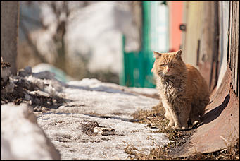 16 март 2016 г., Барнаул © Амител Вячеслав Мельников   Весна идет - весне дорогу