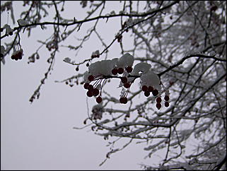 5 ноября 2009 г., Барнаул   В Барнаул пришла "зима"