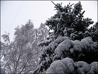 5 ноября 2009 г., Барнаул   В Барнаул пришла "зима"