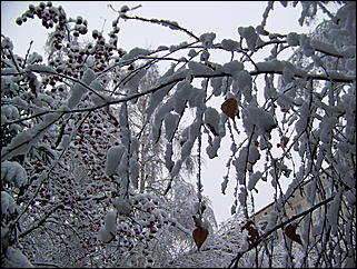 5 ноября 2009 г., Барнаул   В Барнаул пришла "зима"