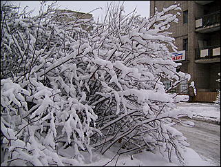 5 ноября 2009 г., Барнаул   В Барнаул пришла "зима"