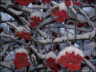 5 ноября 2009 г., Барнаул   В Барнаул пришла "зима"