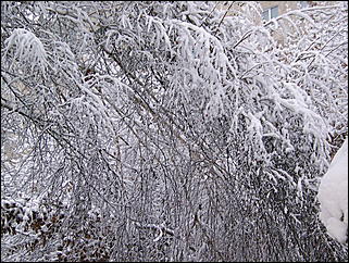 5 ноября 2009 г., Барнаул   В Барнаул пришла "зима"