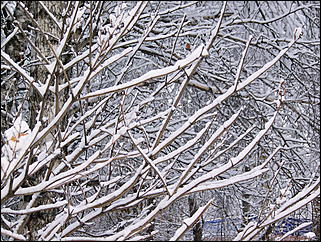 5 ноября 2009 г., Барнаул   В Барнаул пришла "зима"