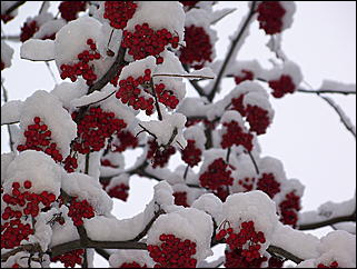 5 ноября 2009 г., Барнаул   В Барнаул пришла "зима"