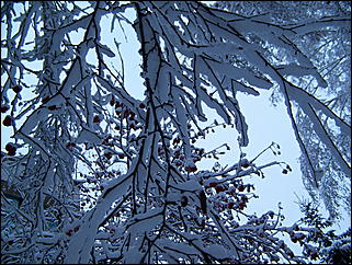 5 ноября 2009 г., Барнаул   В Барнаул пришла "зима"