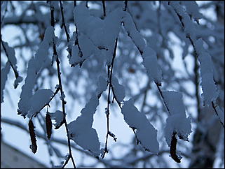 5 ноября 2009 г., Барнаул   В Барнаул пришла "зима"