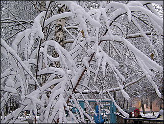 5 ноября 2009 г., Барнаул   В Барнаул пришла "зима"