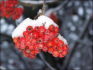 5 ноября 2009 г., Барнаул   В Барнаул пришла "зима"