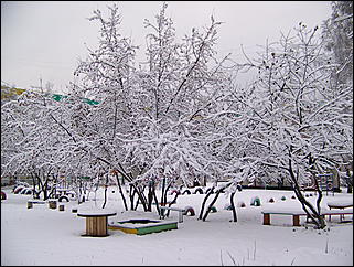 5 ноября 2009 г., Барнаул   В Барнаул пришла "зима"