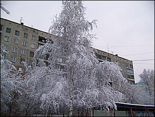 5 ноября 2009 г., Барнаул   В Барнаул пришла "зима"