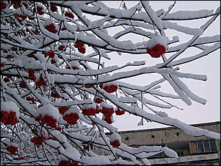 5 ноября 2009 г., Барнаул   В Барнаул пришла "зима"