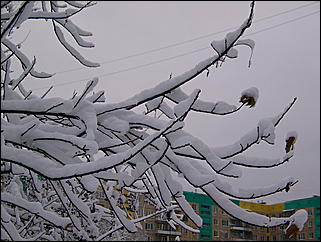 5 ноября 2009 г., Барнаул   В Барнаул пришла "зима"