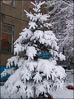 5 ноября 2009 г., Барнаул   В Барнаул пришла "зима"