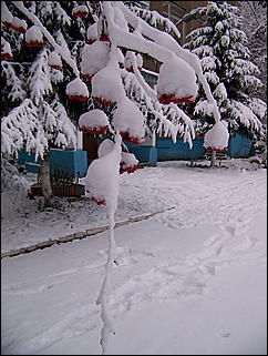 5 ноября 2009 г., Барнаул   В Барнаул пришла "зима"