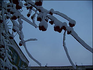 5 ноября 2009 г., Барнаул   В Барнаул пришла "зима"