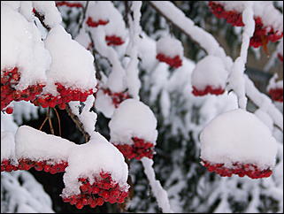 5 ноября 2009 г., Барнаул   В Барнаул пришла "зима"