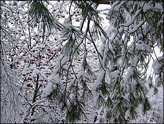 5 ноября 2009 г., Барнаул   В Барнаул пришла "зима"