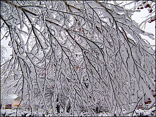 5 ноября 2009 г., Барнаул   В Барнаул пришла "зима"