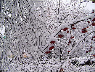 5 ноября 2009 г., Барнаул   В Барнаул пришла "зима"