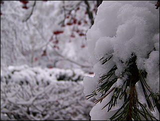 5 ноября 2009 г., Барнаул   В Барнаул пришла "зима"