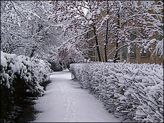 5 ноября 2009 г., Барнаул   В Барнаул пришла "зима"