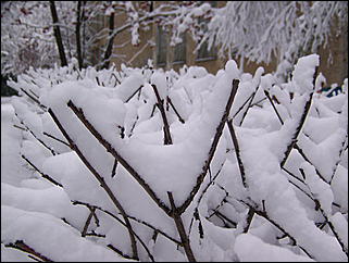 5 ноября 2009 г., Барнаул   В Барнаул пришла "зима"