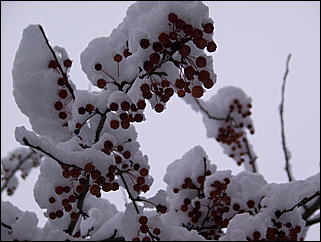 5 ноября 2009 г., Барнаул   В Барнаул пришла "зима"