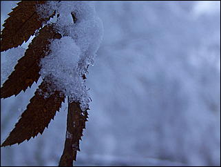 5 ноября 2009 г., Барнаул   В Барнаул пришла "зима"