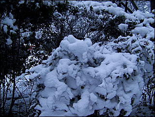 5 ноября 2009 г., Барнаул   В Барнаул пришла "зима"